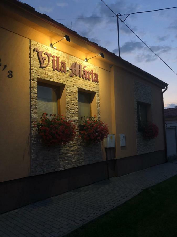 Vila Maria Rapovce Екстериор снимка
