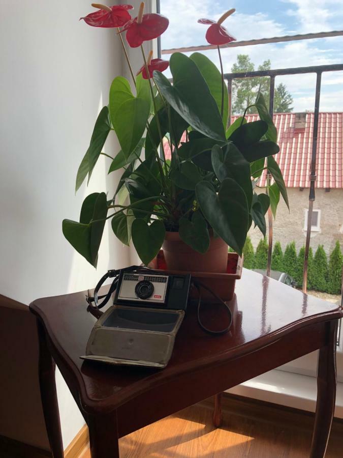 Vila Maria Rapovce Екстериор снимка
